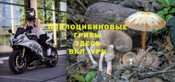 мет Абаза
