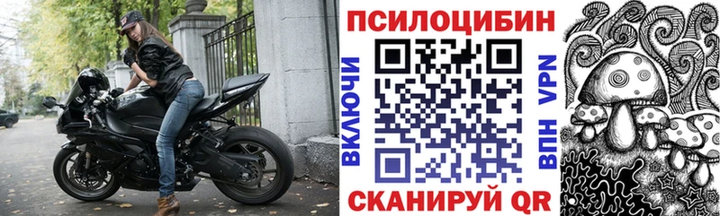 mega вход  Урень  Псилоцибиновые грибы Psilocybe 